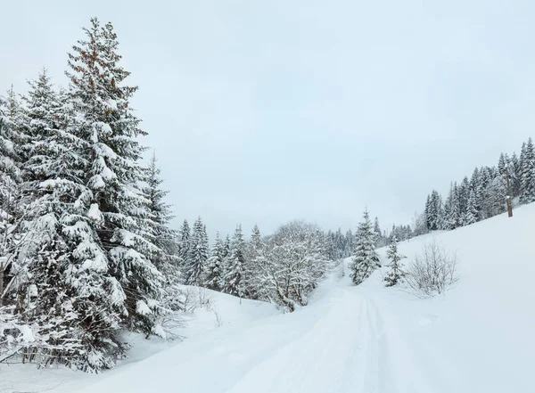 Karpaty Zima Krajobraz. — Zdjęcie stockowe