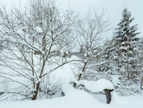 De Karpaten winter landschap. — Stockfoto