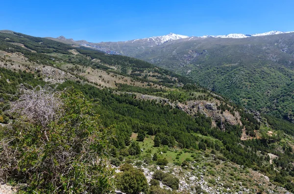 Sierra Nevada National Park, Spain. — Stock Photo, Image