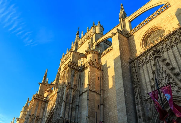 Catedrala din Sevilla, Spania . — Fotografie, imagine de stoc