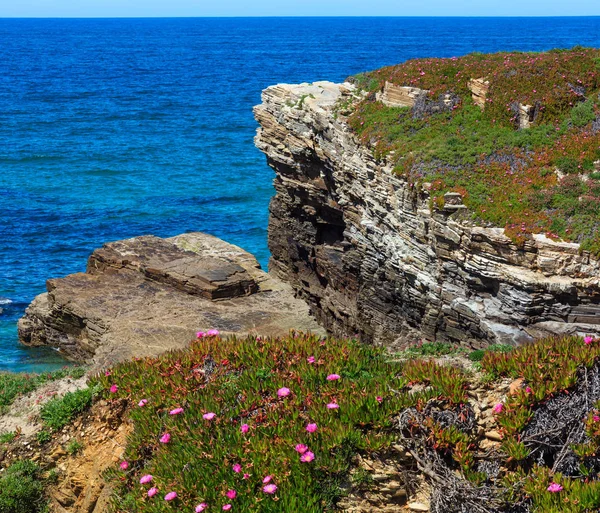 Zomer bloeiende Atlantische kust (Galicia). — Stockfoto