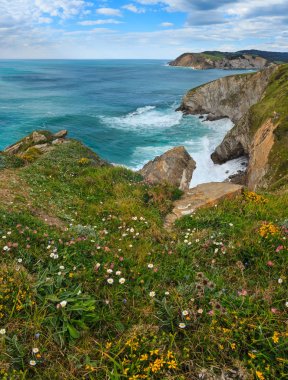 Yaz okyanus defne kıyı şeridi (İspanya).