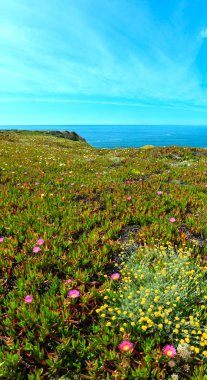 Yaz Atlantik Okyanusu kıyısında (Algarve, Portekiz).