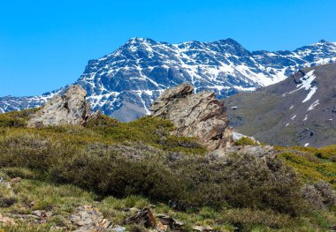 Sierra Nevada Milli Parkı, İspanya.
