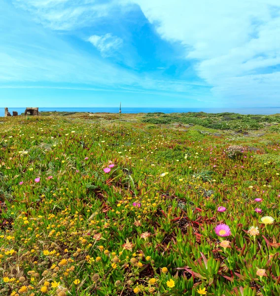 Summer Atlantic ocean coast (Algarve, Portugal). — Stock Photo, Image