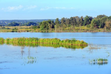 Akşam yaz göl manzara.