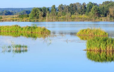Akşam yaz göl manzara.