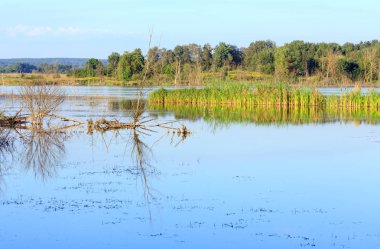 Akşam yaz göl manzara.