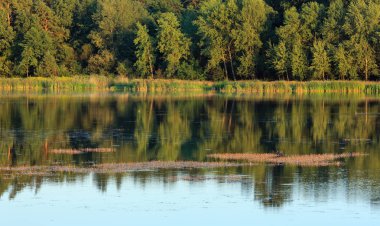 Akşam yaz göl manzara.