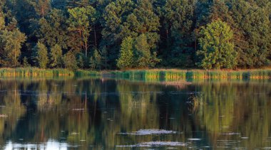Akşam yaz göl manzara.