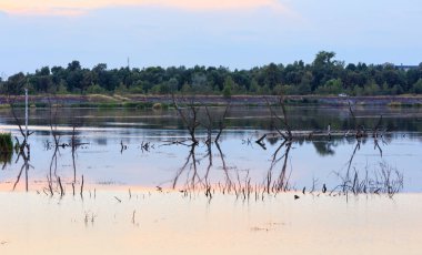 Akşam yaz göl manzara.
