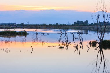 Akşam yaz göl manzara.
