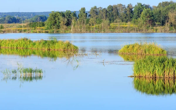Akşam yaz göl manzara.