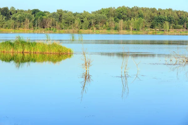 Avond zomer meer landschap. — Stockfoto