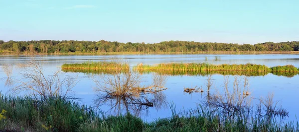 Evening summer lake landscape. — Stock Photo, Image