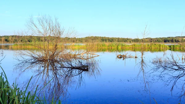 Sera estate paesaggio lacustre . — Foto Stock