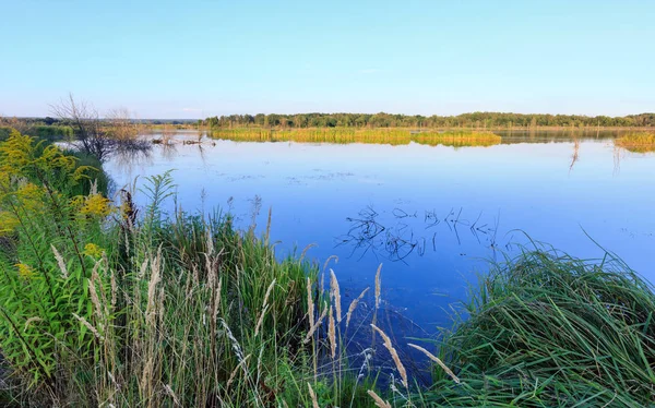 Вечірній літній пейзаж озера . — стокове фото