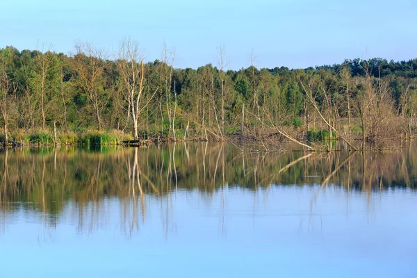 Вечірній літній пейзаж озера . — стокове фото