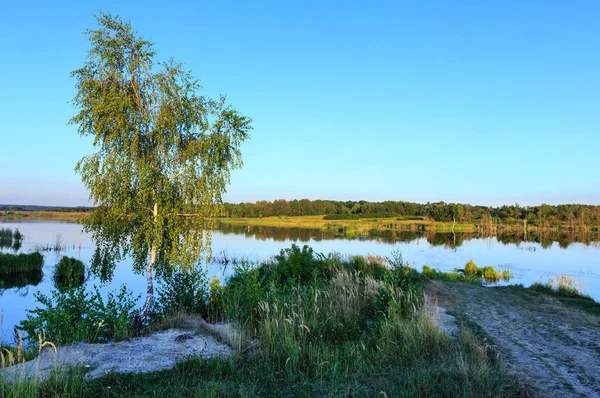 Вечірній літній пейзаж озера . — стокове фото