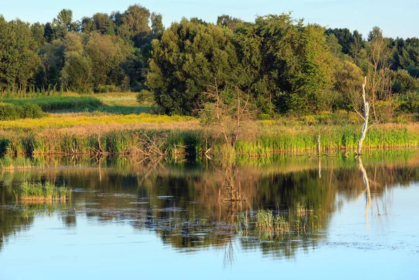 Вечірній літній пейзаж озера . — стокове фото