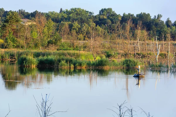 Noche verano lago paisaje . —  Fotos de Stock