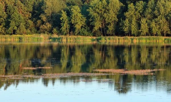 Akşam yaz göl manzara.