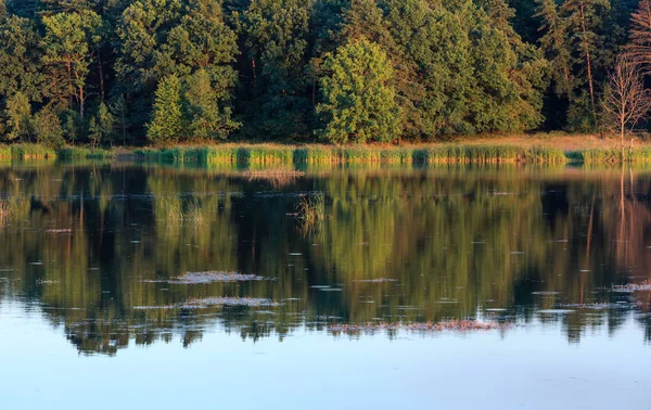 Akşam yaz göl manzara.