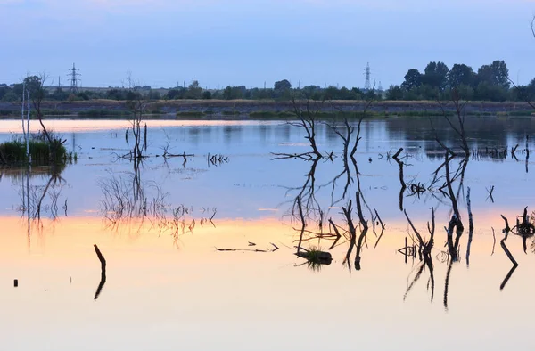 Noche verano lago paisaje . —  Fotos de Stock