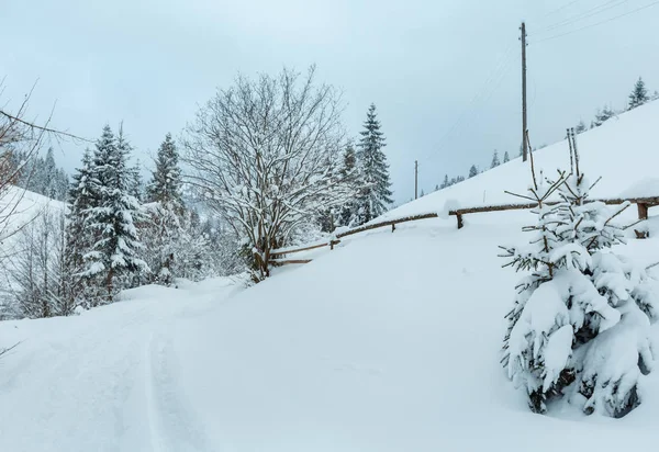 Hiver Carpates paysage de montagnes . — Photo