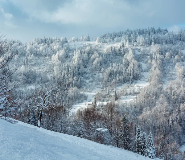 冬のウクライナのカルパチア山脈を風景します。. — ストック写真