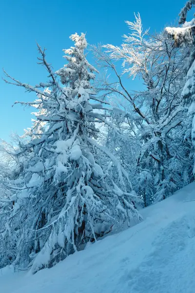 Inverno ucraniano montanhas dos Cárpatos paisagem . — Fotografia de Stock