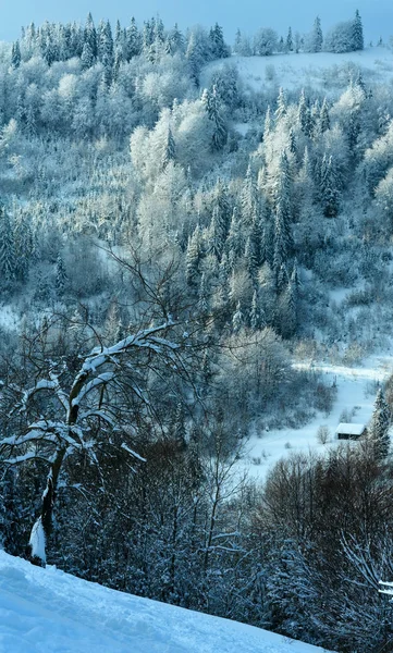 겨울 우크라이나어 카 르 파 티아 산맥 풍경. — 스톡 사진