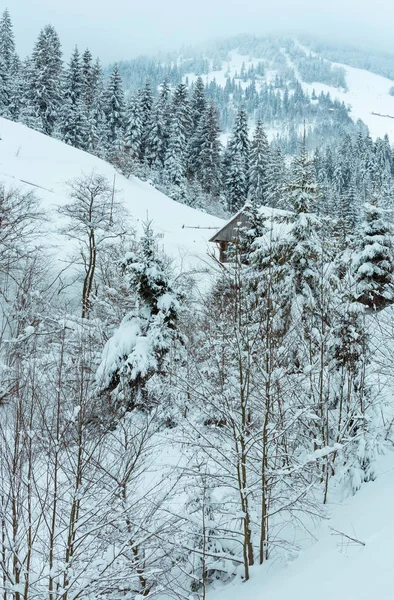 Winter Oekraïense Karpaten landschap. — Stockfoto