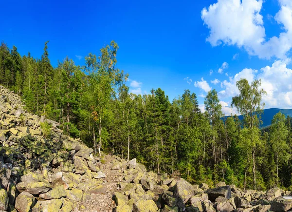 Zomer bergzicht (Karpaten, Oekraïne). — Stockfoto