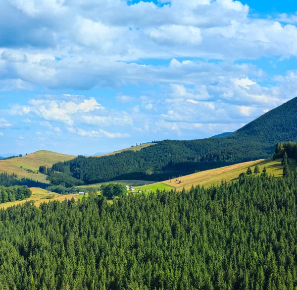 Montagne Carpazie estive . — Foto Stock