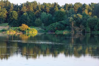 Akşam yaz göl manzara.