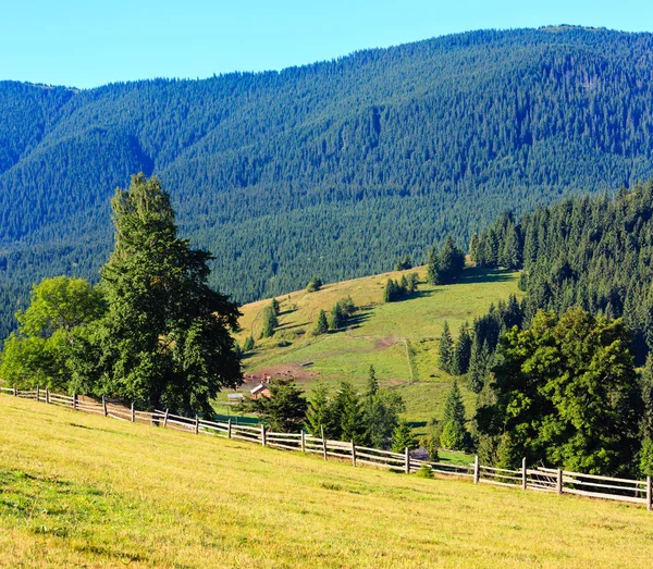 Summer Carpathian Mountains. — Stock Photo, Image