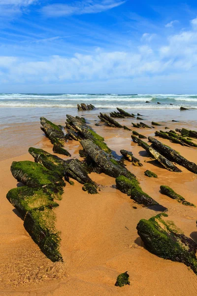 Πετρώματα σε αμμώδη παραλία (Πορτογαλία). — Φωτογραφία Αρχείου