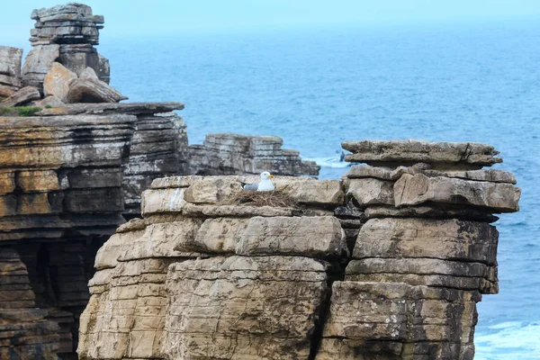 Atlantic rocky coast (Portugal). — Stock Photo, Image