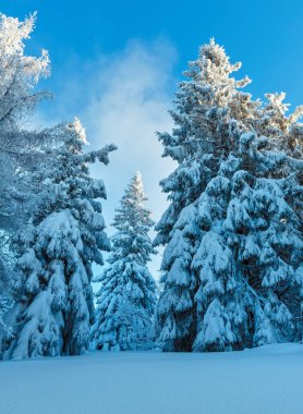 Kış Ukrayna Karpat Dağları manzara.