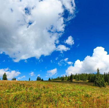 Yaz Karpat Dağları.