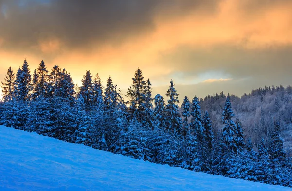 冬天乌克兰喀尔巴阡山区景观. — 图库照片