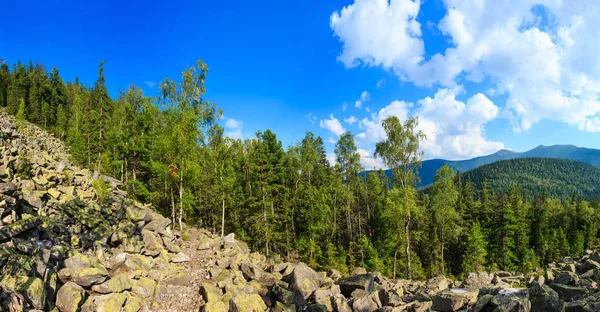 Yaz dağ manzarası (Karpat, Ukrayna). — Stok fotoğraf