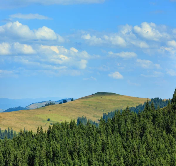 Summer Carpathian Mountains. — Stock Photo, Image