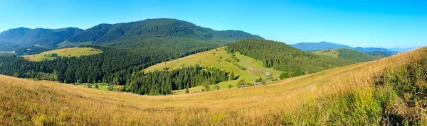 Verano vista a la montaña (Cárpatos, Ucrania ). — Foto de Stock