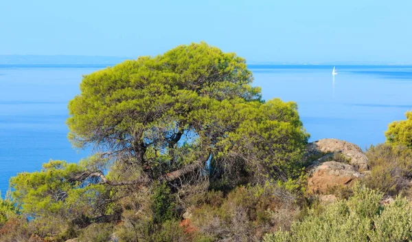 Morgon Egeiska kusten, Sithonia, Grekland. — Stockfoto