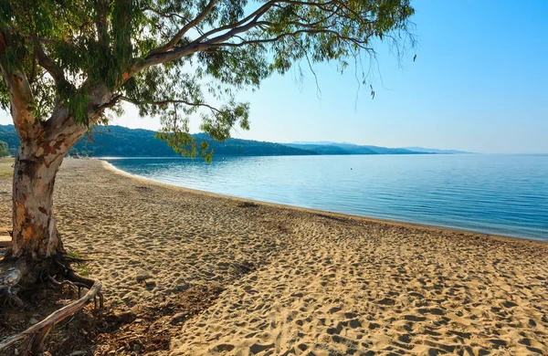 Kastri beach, Chalkidiki, Grecja. — Zdjęcie stockowe