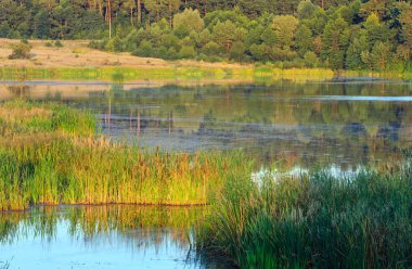 Akşam yaz göl manzara.