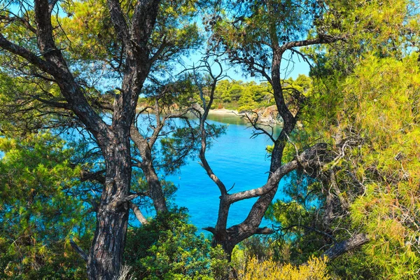 Morgon Egeiska kusten, Sithonia, Grekland. — Stockfoto