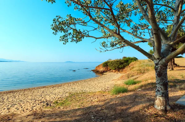 Kastri beach, Halkidiki, Greece. — Stock Photo, Image